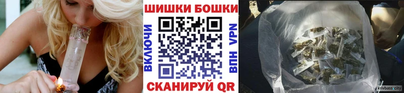 Бошки Шишки семена  купить наркотики сайты  Курильск 